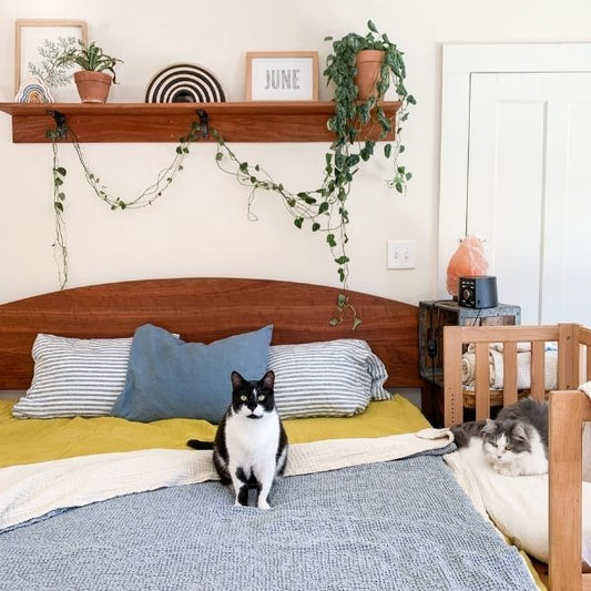 Homesteading and Sustainable living with Lauren from Lala Earth