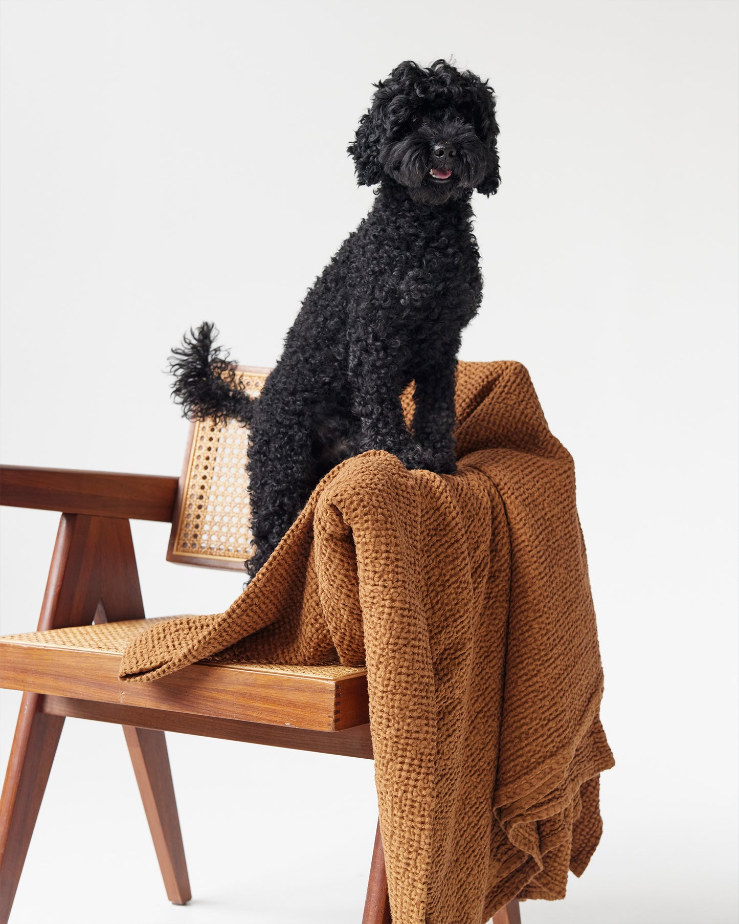 Cinnamon waffle throw blanket