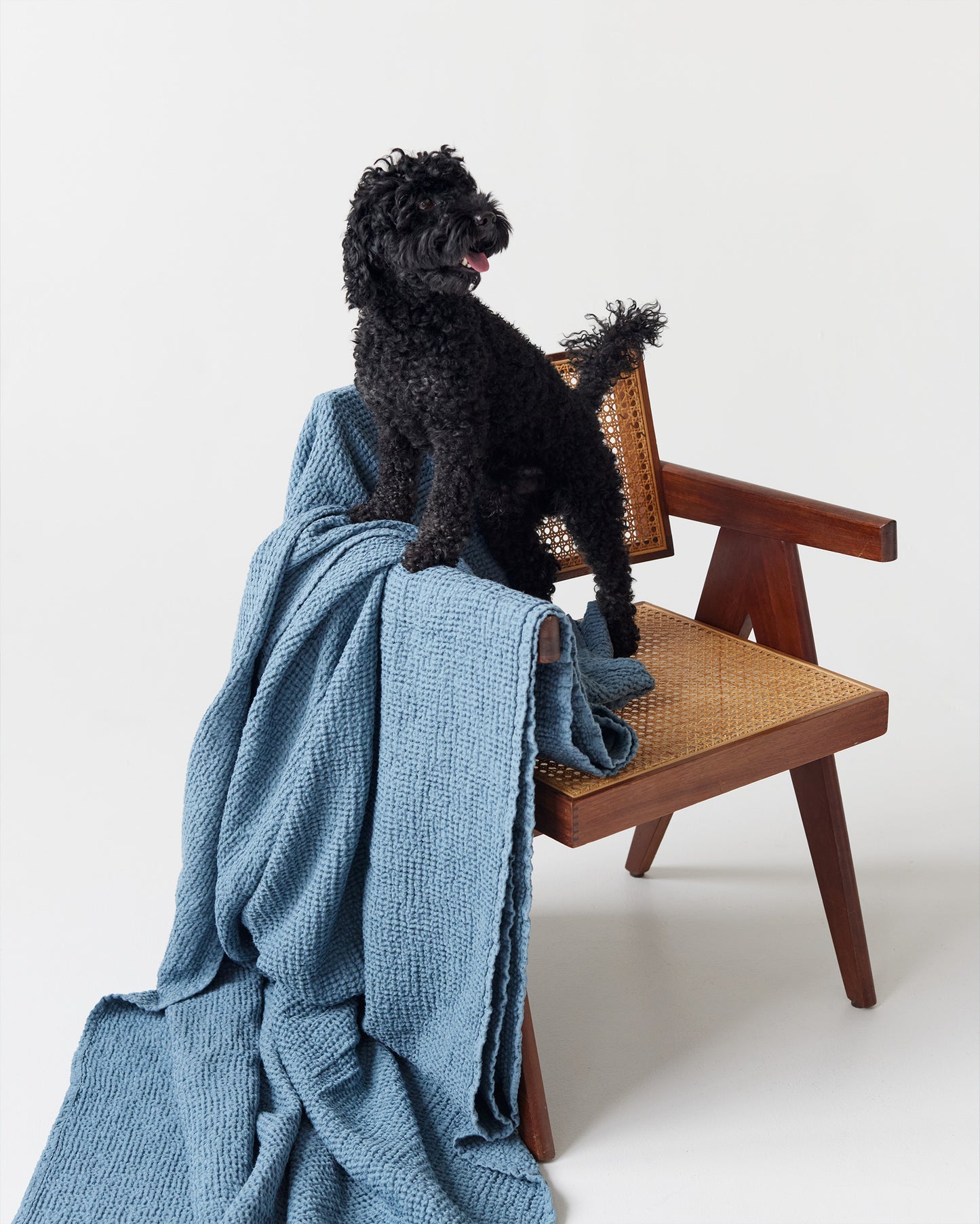 Gray blue waffle throw blanket